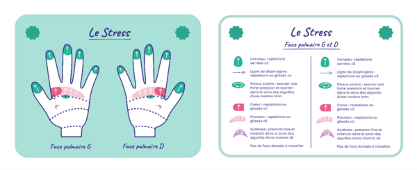 🌿 Coffret de Cartes de Réflexologie Palmaire