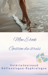 e book gestion du stress